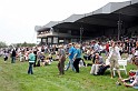 Ascot Renntag09   008